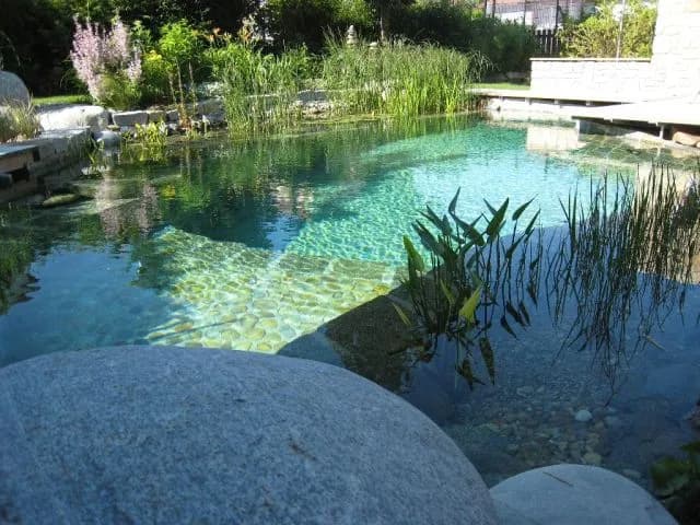 Ile kosztuje budowa oczka wodnego? Sprawdź, co wpływa na cenę Ile kosztuje budowa oczka wodnego? Sprawdź, co wpływa na cenę