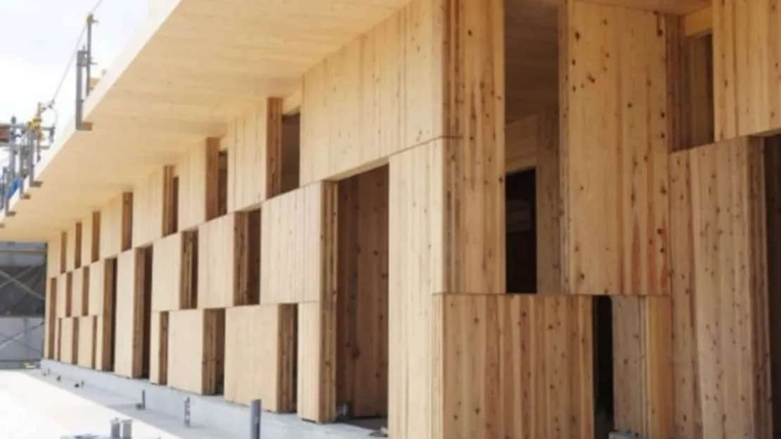 Żwir i kruszywa w nowozelandzkim budownictwie: rozwiązania antysejsmiczne