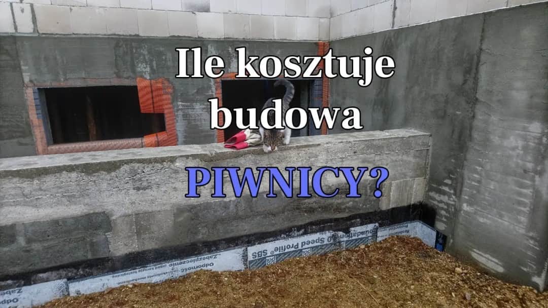 Ile kosztuje wybudowanie piwnicy? Sprawdź, co wpływa na ceny
